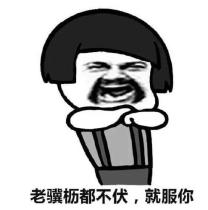 �㶫������������30�� ���600��Ͷע������С�è�塱��