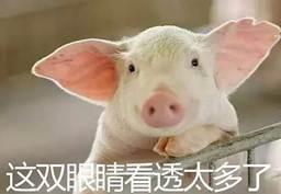 彩友一球失3000万 双色球1000万又要开出?