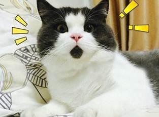 一彩民2拖9胆拖网中767万头奖,今晚有5.78亿奖池等你掏空!