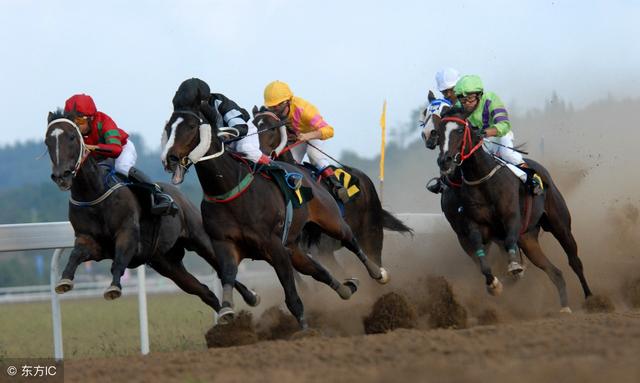 Ů����800���ȴ��ܶ� �����ƣ���Υ���ˣ����ܶҽ���