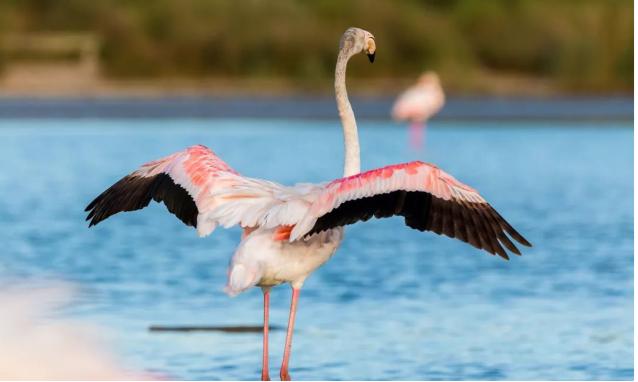 �������ͷ�����������򵥡� �н�����ԭ�����ˡ�������