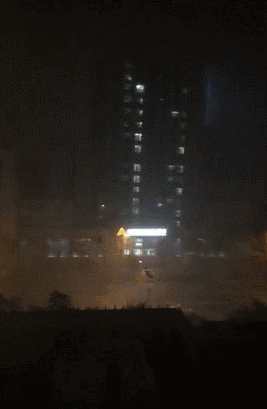 ɽ������9+1��ʽ��84ע���� ��˫ɫ��729��Ԫ��