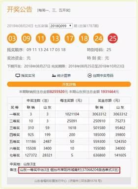 �Ϳս��أ�ɽ��һ����Ͷ3������306���