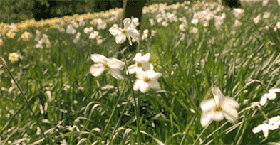 说明: &quality=80&size=b9999_10000&sec=1551433226179&di=daf220905c1965489e326326a6f177e5&imgtype=0& data-cke-saved-src=http%3A%2F%2F5b0988e595225.cdn.sohucs.com%2Fimages%2F20180204%2F1799bfcb65a640bdb0f6292b1007027f.gif src=http%3A%2F%2F5b0988e595225.cdn.sohucs.com%2Fimages%2F20180204%2F1799bfcb65a640bdb0f6292b1007027f.gif