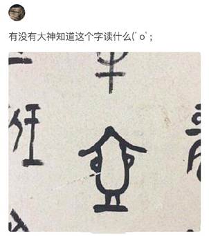 ˵��: /Users/summer/Downloads/IMG_1764.JPG